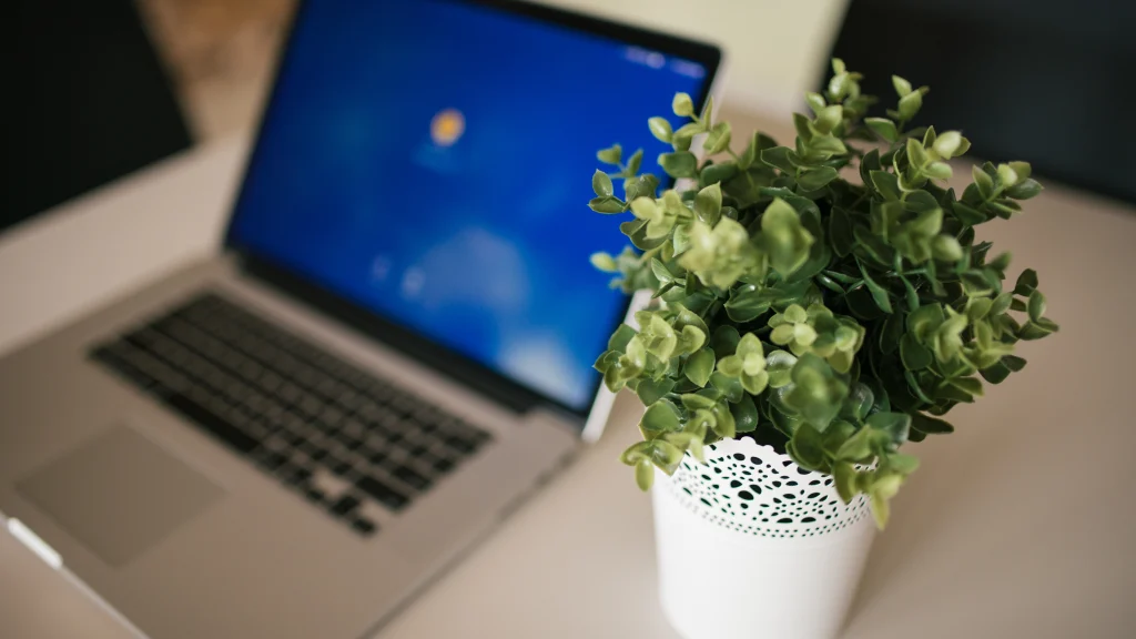 Open laptop beside a small plant on a desk in a bright modern workspace